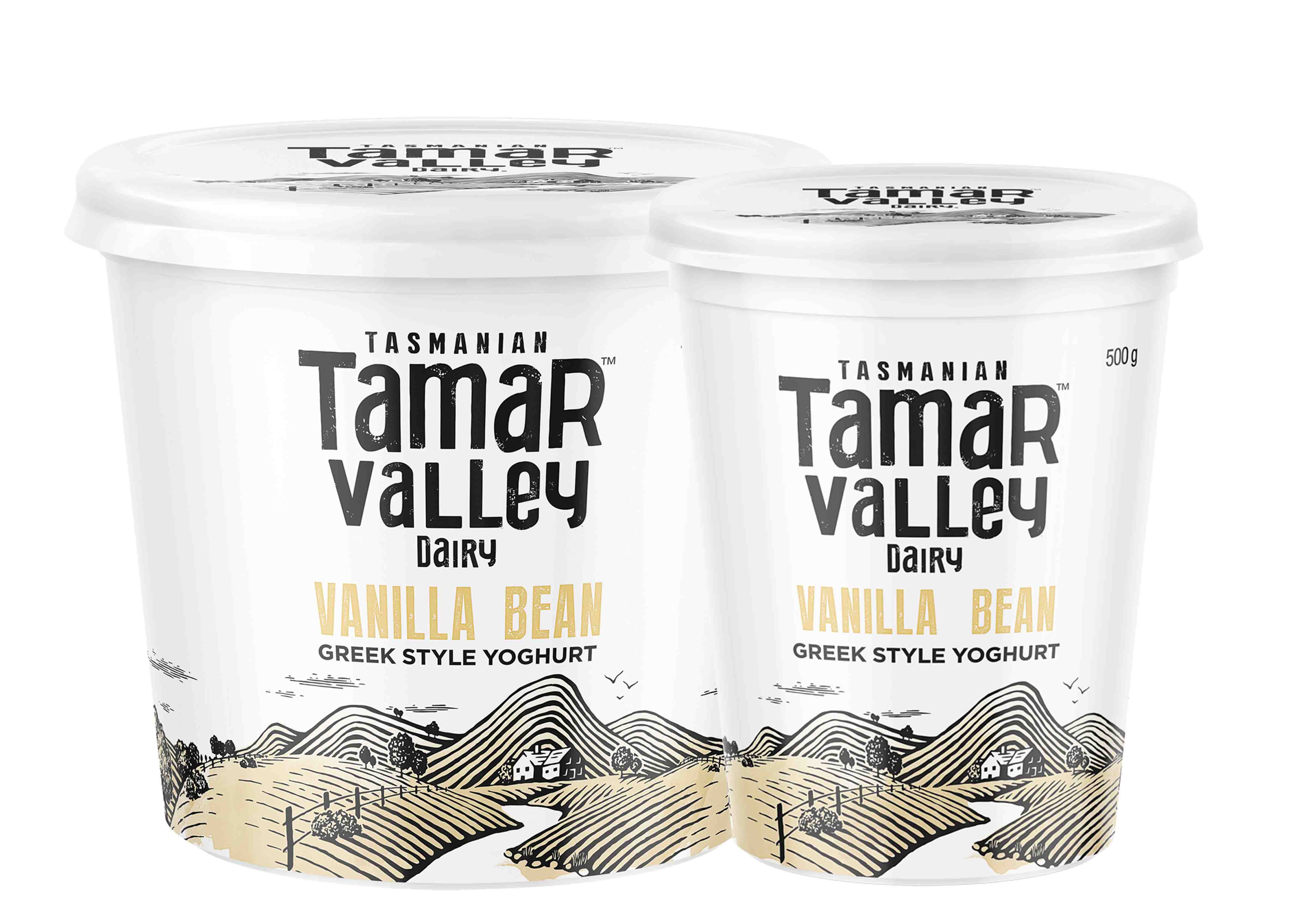 Greek Style Vanilla Yoghurt Tamar Valley Dairy